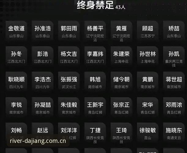 DJ大江体育直播平台 足协第三批禁足名单深度解析——从大江体育平台看足球圈反赌反腐实用指南